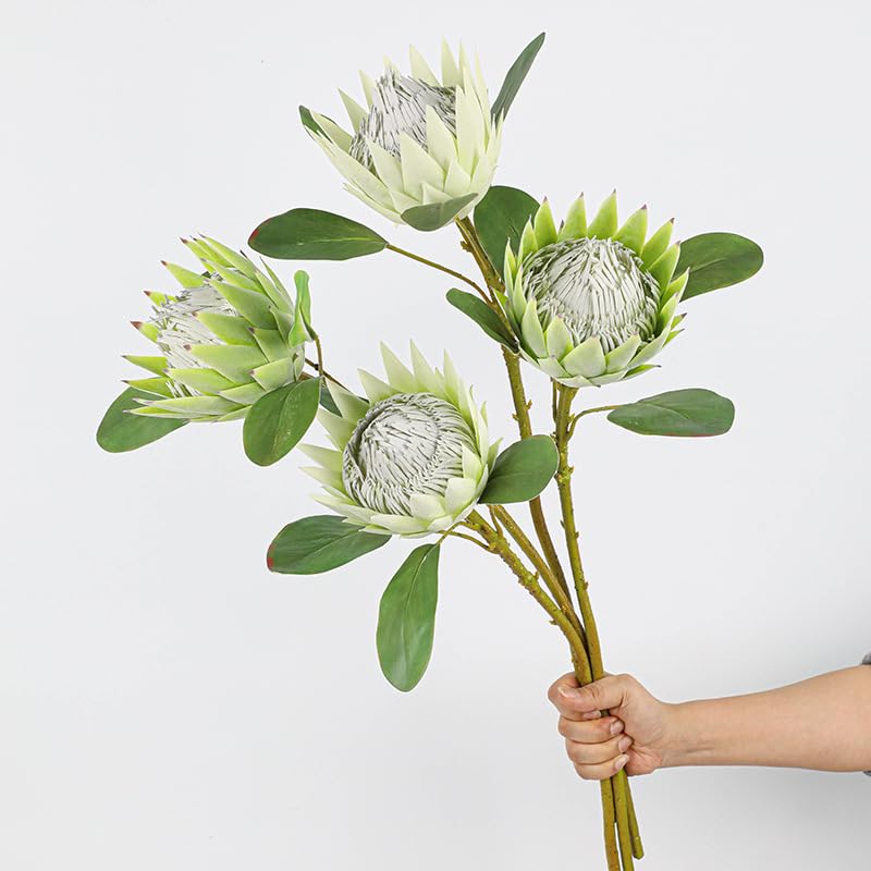 Elegante arreglo floral king protea de alta calidad para una decoración sofisticada 5