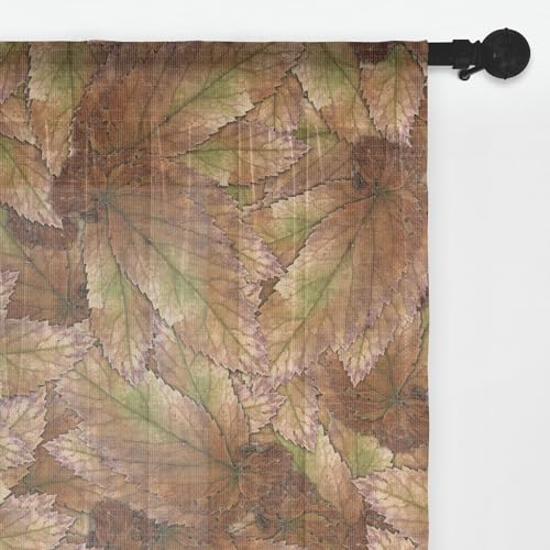 Ambesonne Autumn Leaves Sheer Curtains with Rod Pocket, Neutral Colors