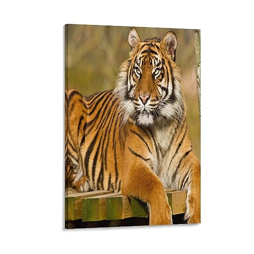 Tableau mural tigre IOFEER toile inspiration 50x75 cm