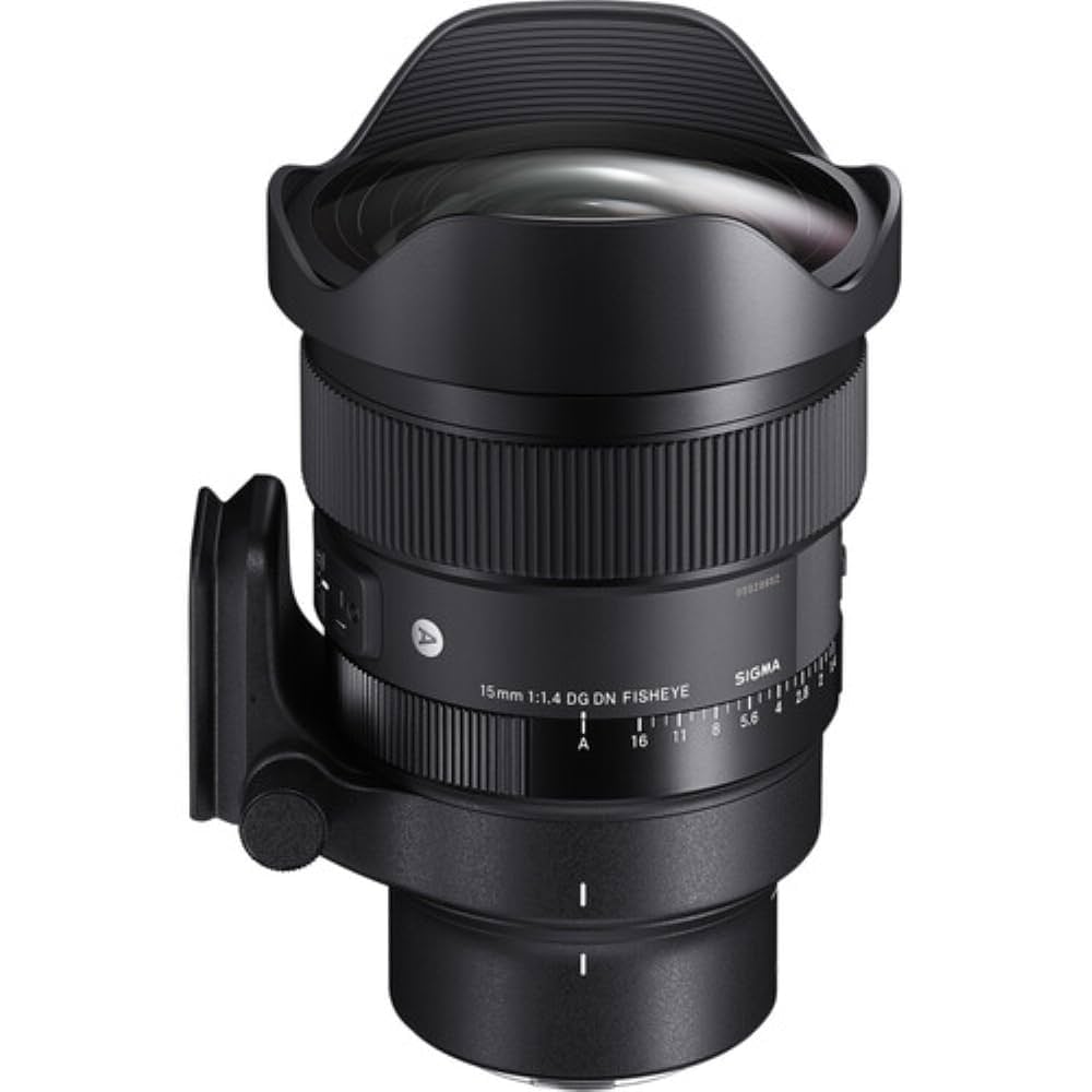 ★美品★SIGMA シグマ 8mm F4 D EX DG FISHEYE ニコン SIGMA シグマ 8mm F4 D EX FISHEYE ニコン Sigma 8mm F4 D EX DG