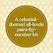Chronicle Books Mindful Crafts: Celestial Paint-by-Number Kit
