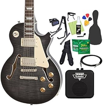 Epiphone Les Paul Standard Pro レスポール エピフォン・レスポール徹底分析！【エレキギター博士】