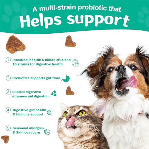 Probiotics for Dogs – Digestion & Health Supplement, Support Gut Health, Diarrhea, Digestive Health & Seasonal Allergies, Clinical Digestive Enzymes & Super Vitamins (180 Soft Chews Chicken) Probiotics for Dogs – Digestion & Health Supplement, Support Gut Health, Diarrhea, Digestive Health & Seasonal Allergies, Clinical Digestive Enzymes & Super Vitamins (180 Soft Chews Chicken)