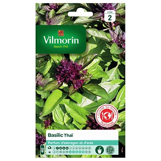 Vilmorin - Sachet graines Basilic Thaï
