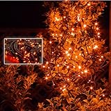 QUALISS イルミネーション LED ストレート ライト 300球 30m オレンジ 屋外 使用可 防滴 AC 100V 50Hz 60Hz 点滅 8種類 Aタイプ コントローラー付 PSE 適合 防滴 防雨 対応 ストリング 電飾 点滅記憶 クリスマス イベント