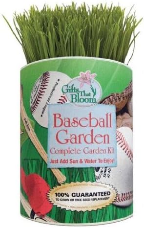 Baseball Garden Grocan