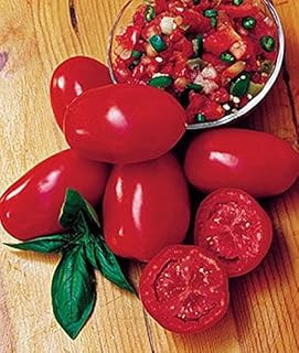 Amazon Fr Rose Ren Sauce Alfredo Sauces De Table Et Pour La