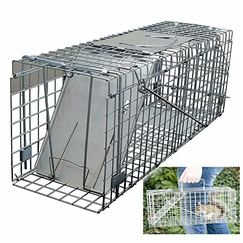 One-Door Live Animal Traps Cage for Rabbit Squirrel Possum Skunk Kitten Mink - Humane Rat Trap Catch and Release Chipmunk Trap Mouse Catcher for Indoor and Outdoor