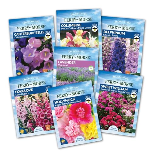 Ferry-Morse English Cottage Perennial Garden Seed Variety Pack - 7 Pack
