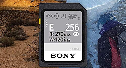 Sony SF E256 SDXC UHS II Classe 10 Neuf - vue 9