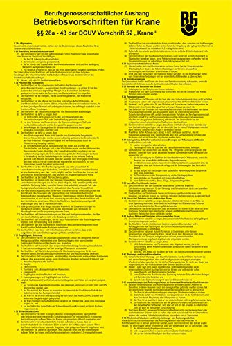 Betriebsvorschiften für Krane BGV D6 - Unfallverhütungsvorschrift - SCHILD / D-031 (20x30cm Aufkleber) Cover