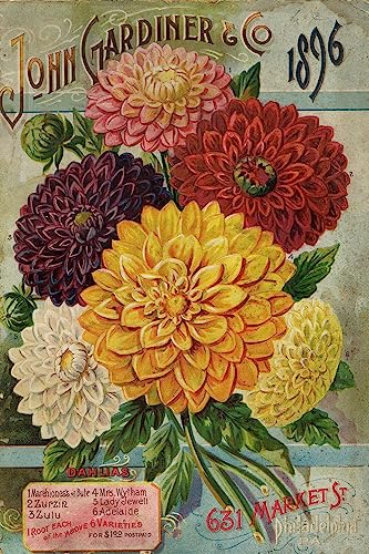 ART.COM Wall Art Prints John Gardiner and Co. 1896: Dahlias, Botanical Decor, 16' x 24'