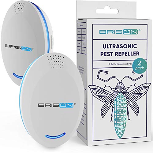 Best Bed Bugs Repellents