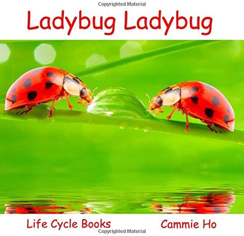 Ladybug Ladybug (Life Cycle Books)