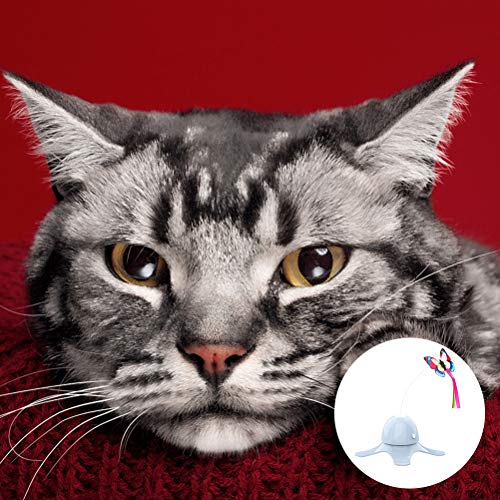Brinquedo gato borboleta automático gato engraçado gato auto- hey elétrico resistente a mordidas (az