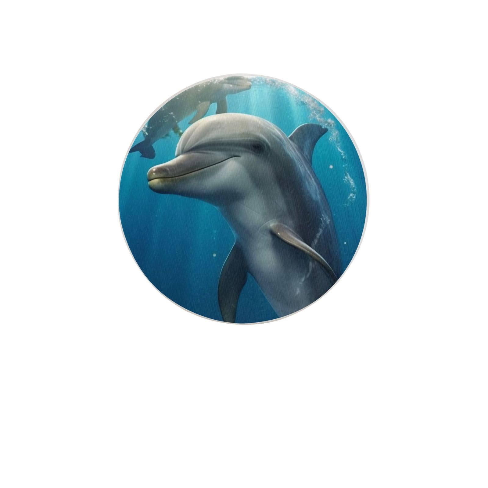 Winter The Dolphin Absorbent Drink Coasters Diatomaceous Round Coaster 4 Inch Reusable Cup Coasters Set 4pc