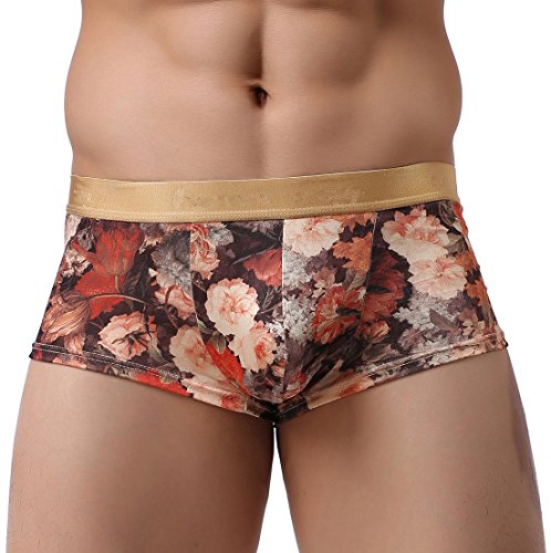 Mendove Men's Sexy Penh Vintage Floral Printed Boxer Briefs