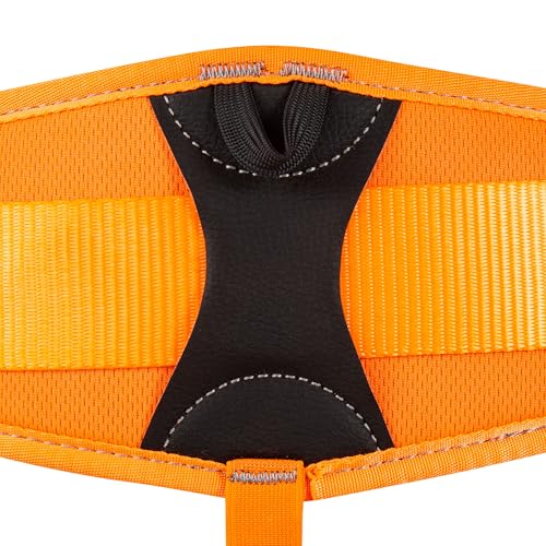 Image of Zeluga Half Body Climbing Harness with Thick Padding, Adjustable Safety Belt for Fall Protection