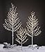LIGHTSHARE 5FT 200L Lighted Star Light,Warm White Lighted Tree Decoration Light,Home/Festival/Party/Christmas,Indoor and Outdoor Use