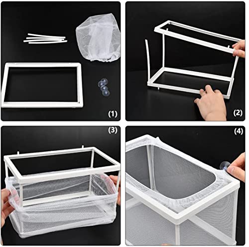 Trinidad Aquarium Fish Breeding Box,Fish Hatchery Isolation Box Large Fish Net Breeder Breeding Container Fish Nursery For Aquarium With Suction Cup Fishing Nets For Tropical Guppy Fish Floating Fish #TOP4