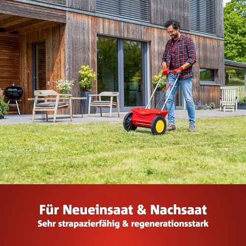 WOLF-Garten Sport- & Spielrasen LG 125 (für 125 m², schnell nutzbar & trittfest, strapazierfähiger Rasen für Sport- & Spielplätze, Hausgarten, für alle Bodenarten geeignet, im 2,5 kg Beutel) 3825020