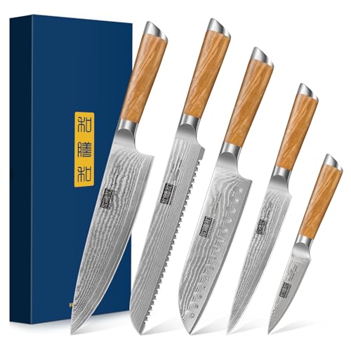HOSHANHO 5-Piece Olive Wood Damascus Set