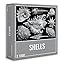 Shells