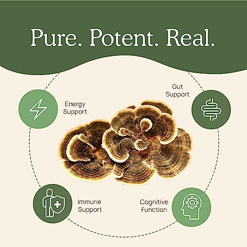 Real Mushrooms Turkey Tail Powder - Organic Mushroom Supplement with Potent Extract for Gut, Energy, Brain, Immune Support Vegan Powder, Non-GMO, 100 Servings - Image 6