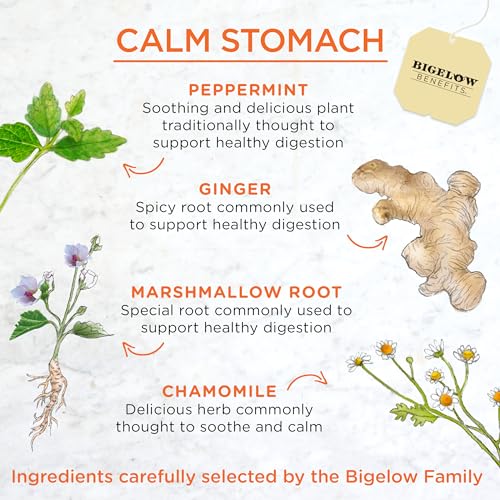 Bigelow Tea Benefits Calm Stomach Ginger Peach Herbal Tea, Caffeine Free, 18 Count (Pack of 6), 108 Total Tea Bags - Image 4