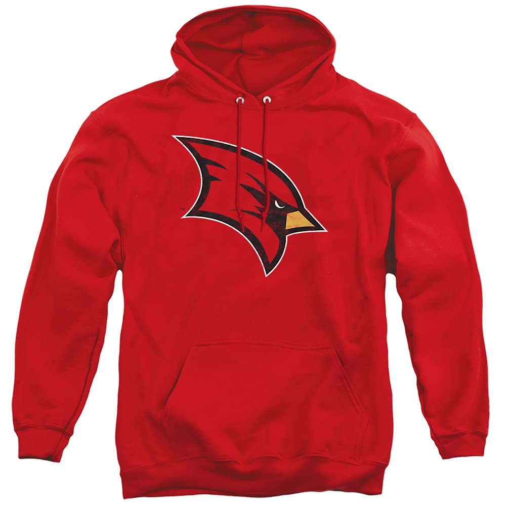 LOGOVISION Official Collegiate Distressed Primary Logo Adult Pullover Hoodie Collection — view 71