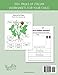 Montessori Italian Workbook: Bilingual Language Materials for Kids Age 3+ | Science, Social Studies, Geography, Art and Handwriting Practice learning in Italian