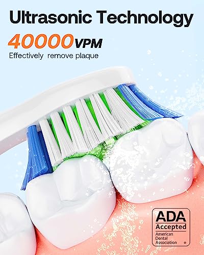Bitvae D2 Ultrasonic Electric Toothbrush - Rechargeable Sonic Electric Toothbrush For Adults And Kids, Power Toothbrush With Holder, 8 Brush Heads, Smart Timer, Fast Charge thumb #2