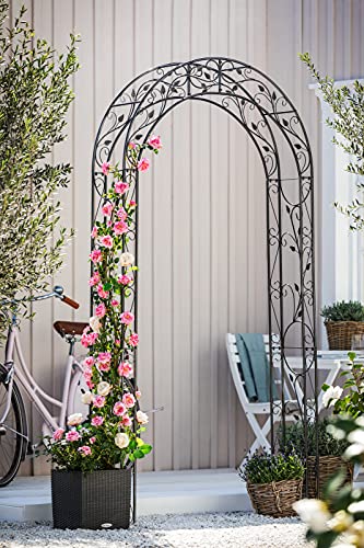Dehner Rosenbogen Cornwall, ca. 236 x 118 x 31 cm, Metall, grau/schwarz, dunkelgrau