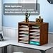PAG Countertop Mail Sorter Organizer, Wooden Literature Organizer, Student Mailbox for Classroom, Desktop Bill Organizer for Office Home School, 12 Compartments, Brown
