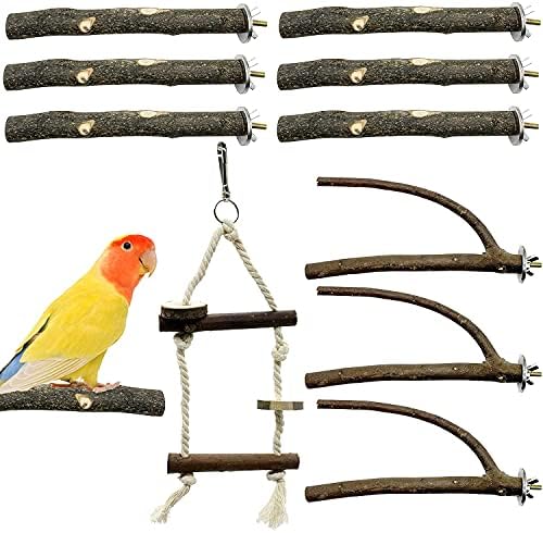 GIONAR 10 PCS Bird Parrot Perch Stand Sets Small Bird Parakeet Stand Toys, Natural Wood Fork Perch Rod Stand Bird Cage Accessories for Pet Budgies Cockatiels Conure Lovebirds