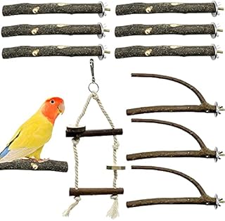 GIONAR 10 PCS Bird Parrot Perch Stand Sets Small Bird Parakeet Stand Toys, Natural Wood Fork Perch Rod Stand Bird Cage Accessories for Pet Budgies Cockatiels Conure Lovebirds