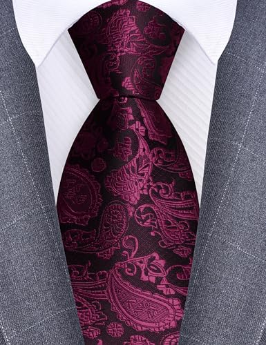 Image of GUSLESON 3.15 inch(8cm) Fashion Paisley Ties Mens Woven Jacquard Necktie for Wedding