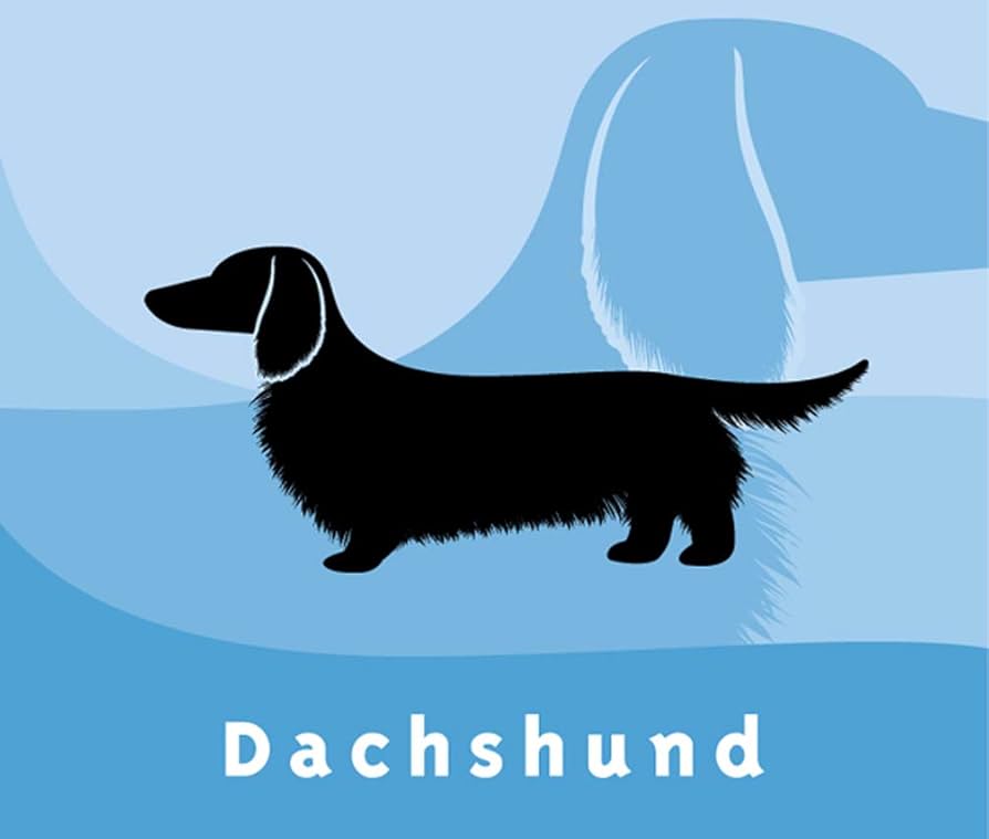 Amazon | ダックス フンド ブラック 犬 ステッカー プレミアム