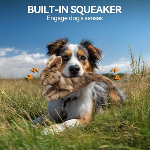 All For Paws Hundespielzeug Hase mit Quietschfunktion, 30 cm