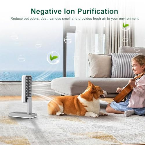 Generador portátil de iones negativos de 600W miniatura 6