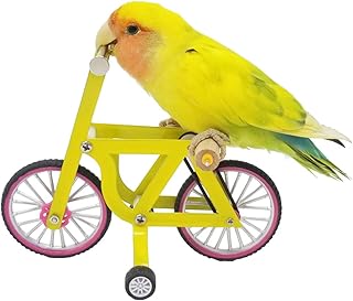 QBLEEV Bird Intelligence Training Toyï¼ŒParrot Puzzle Bicycle Toy for Small Medium Birdï¼ŒParrot Educational Table Top Trick Prop Toyï¼ŒBird Foot Talon Toy for African Grey Cockatoo Eclectus Conures