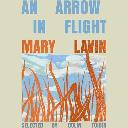 An Arrow in Flight Audiolibro Por Mary Lavin arte de portada