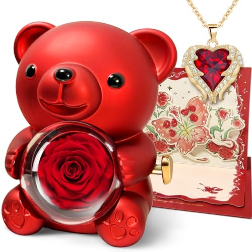 DINGHENG Collar de rosas con corazón para mujer, rosas conservadas, oso eterno, rosa real, regalo de regalo, para mujeres, novia, madre, día de la madre, Navidad, día de San Valentín, rojo DINGHENG Collar de rosas con corazón para mujer, rosas conservadas, oso eterno, rosa real, regalo de regalo, para mujeres, novia, madre, día de la madre, Navidad, día de San Valentín, rojo