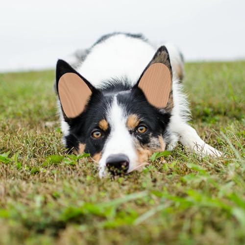 WOONEKY 1 Paar Ohrpflaster Für Haustiere Für Hundeohren Für Hundeohren Aufkleber Für Ohren Zum Aufstehen Klebeband,Welpen Ohr Werkzeug,Ohrfeste Korrektur Vertikalhalterung
