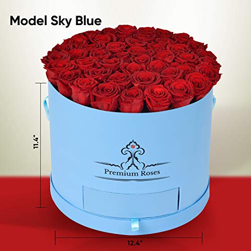Premium Roses| Real Roses That Last a Year | Fresh Flowers| Roses in a Box (Blue Box, Large)