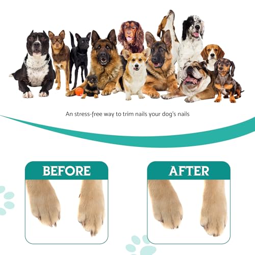 Hunde Nägel Stressfrei Kratzbrett für Hundekrallen Alternative zu Krallenknipsern und -Schleifern für Hunde