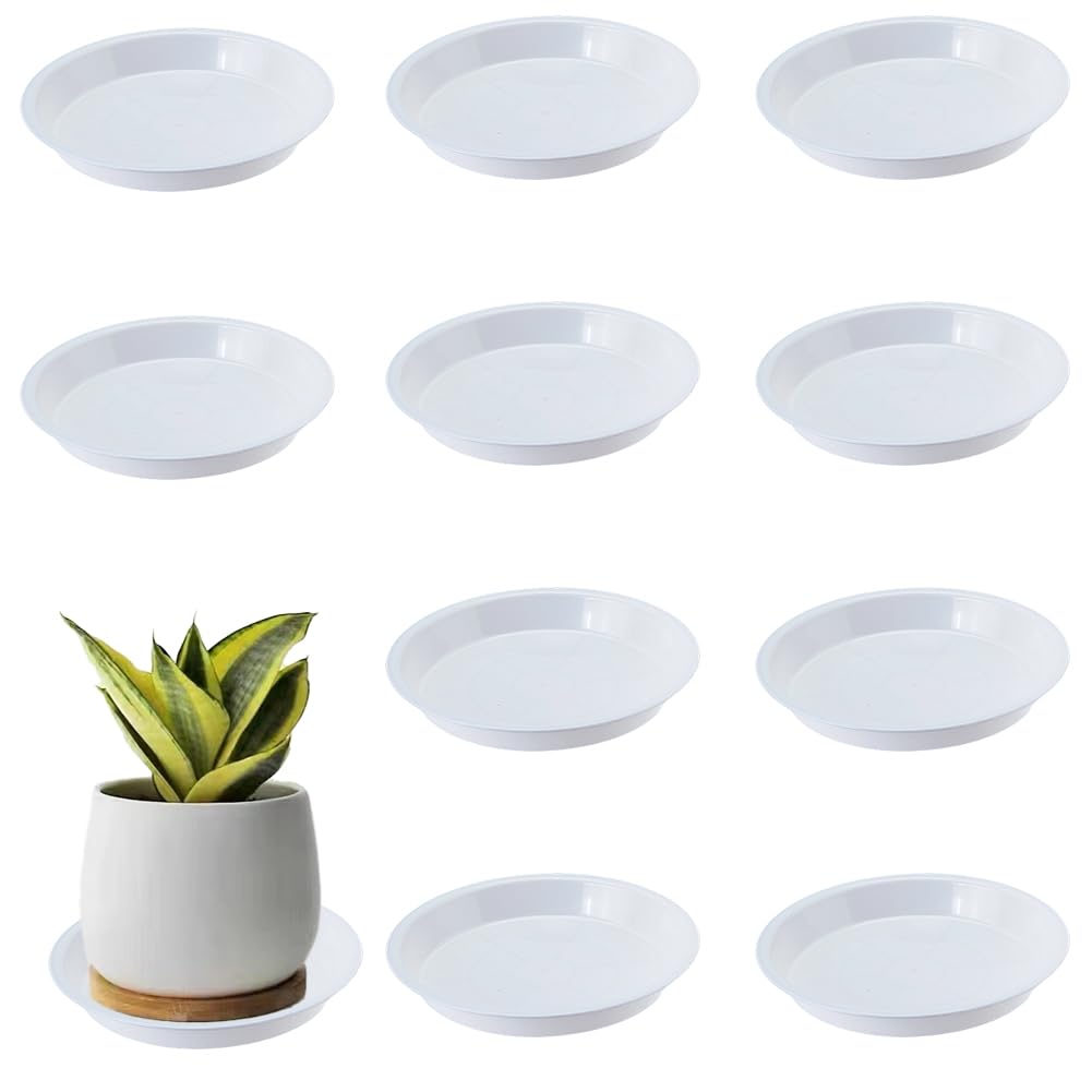 BEAMARKER 10Pcs Plant Saucer Drip Trays 6 Inch White Plastic Plant Pot Saucers Flower Pot Tray Durable Round Pallets Water Catcher Decorative Container Accessories for Indoors Outdoor Patio Garden