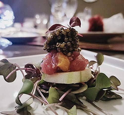 Miniatura 2 de Old Classic Ossetra Sturgeon Malossol Caviar - Lata de 32 onzas, sabor exquisito, calidad, cosecha sostenible, caviar Ossetra gourmet real recién