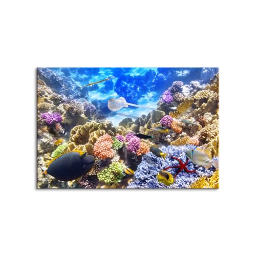 ؘgt̊i C̎ʐ^ ČiF |X^[ LoX ꂢ C iʐ^ G Õ̕i Ǌ|G ヂ_  CeAA[g  Vz? (40x60cmi16x24inj,H)