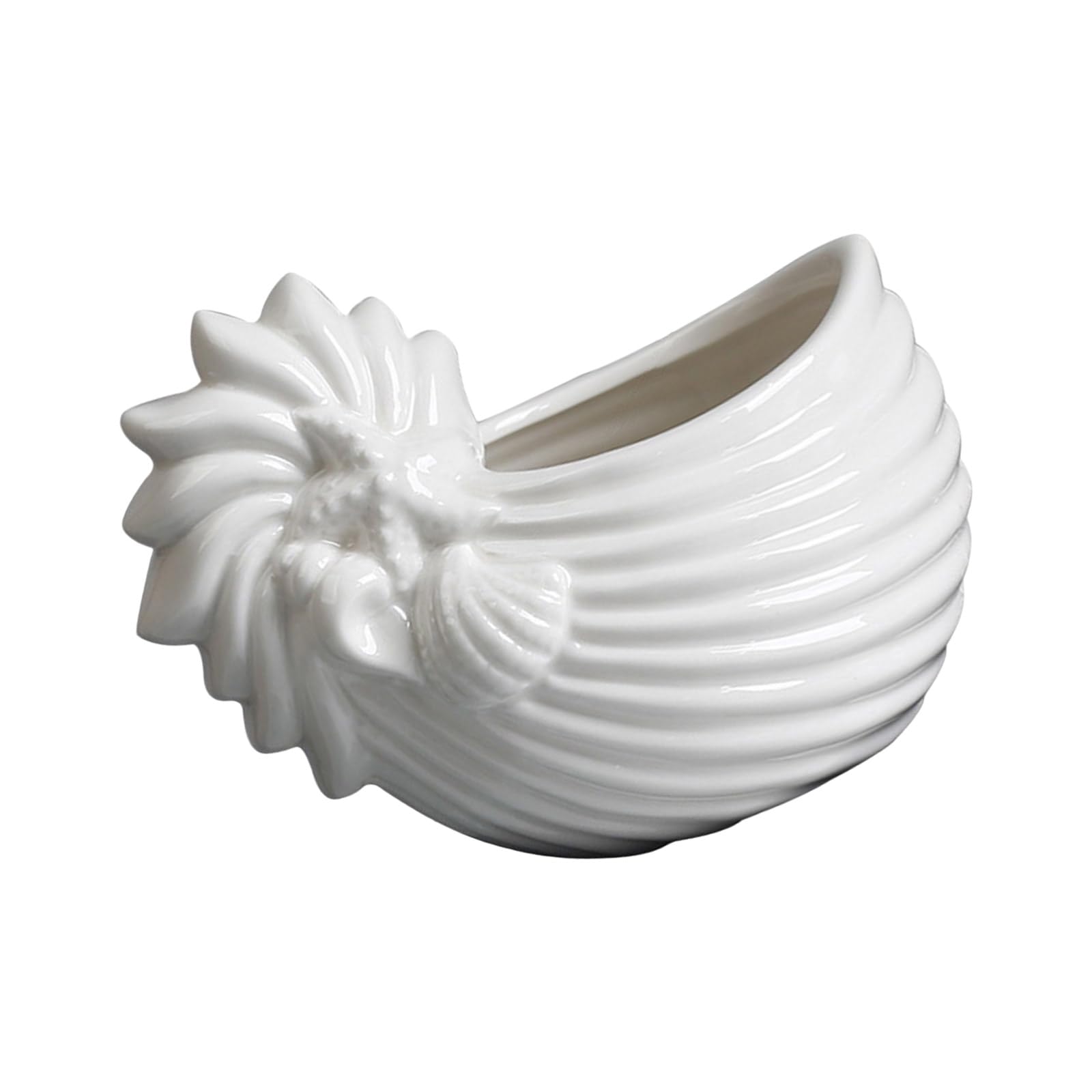 Hsioluted Ceramic Conch Shape Holder for Home Decors Marine Theme Succulents Pots Miniature Planter Decorative Vessel Ceramic Vessel Conch Design Decorative Holder